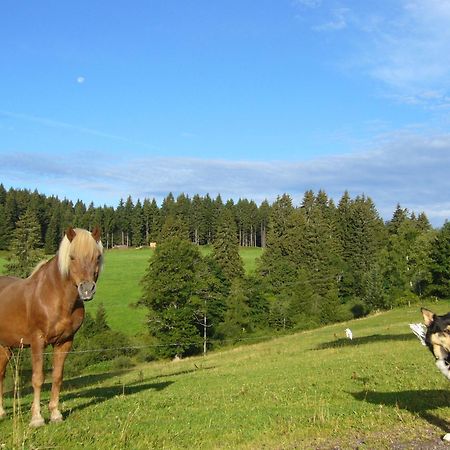 Hoehengasthaus Kolmenhof An Der Donauquelle Furtwangen Luaran gambar