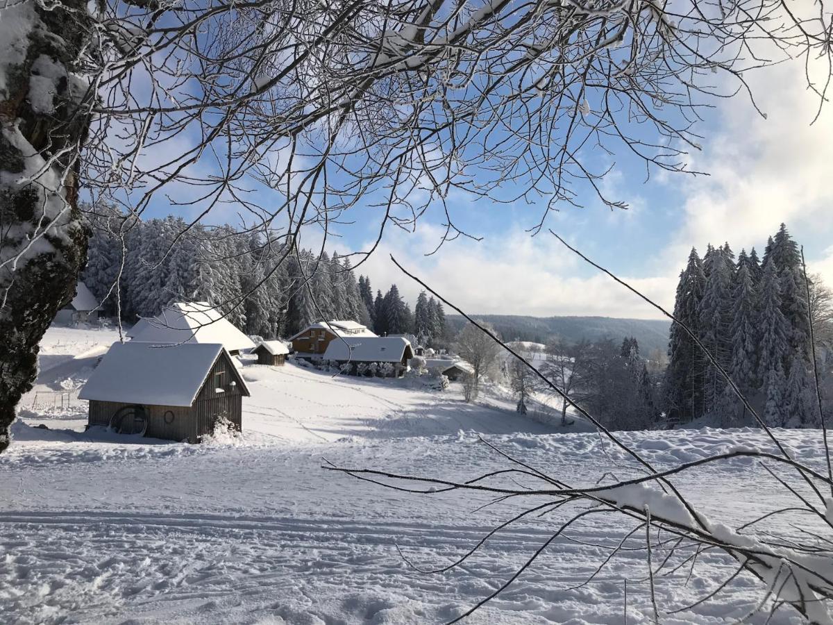Hoehengasthaus Kolmenhof An Der Donauquelle Furtwangen Luaran gambar