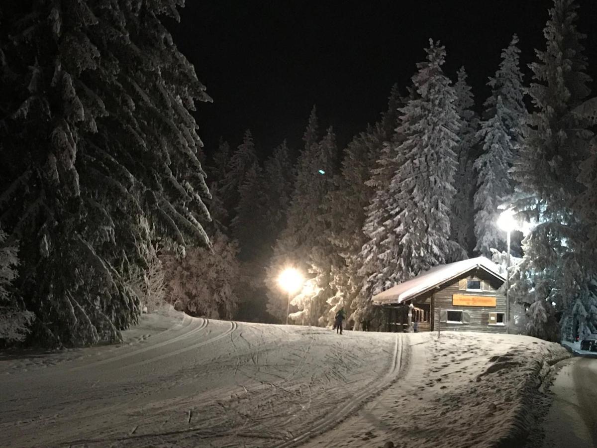 Hoehengasthaus Kolmenhof An Der Donauquelle Furtwangen Luaran gambar