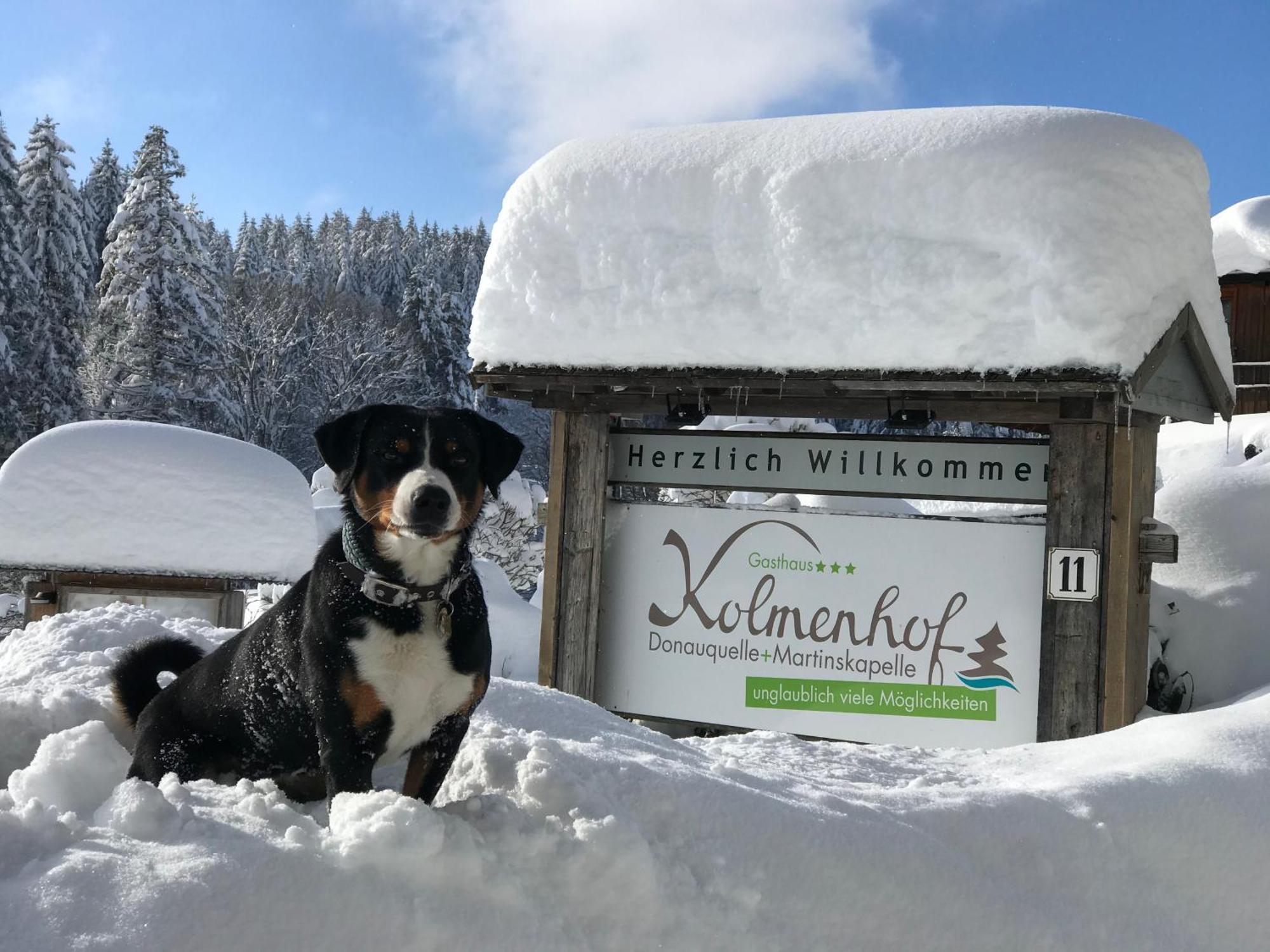 Hoehengasthaus Kolmenhof An Der Donauquelle Furtwangen Luaran gambar
