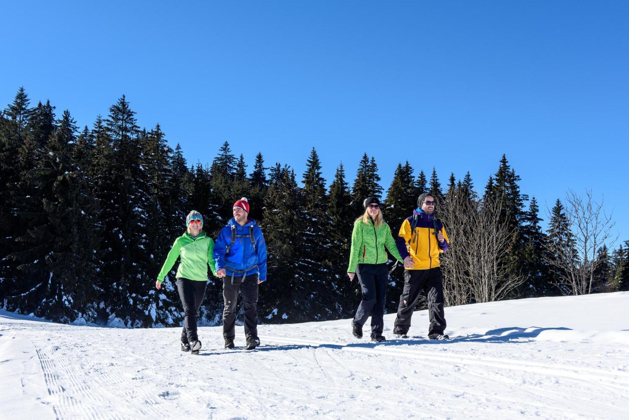 Hoehengasthaus Kolmenhof An Der Donauquelle Furtwangen Luaran gambar