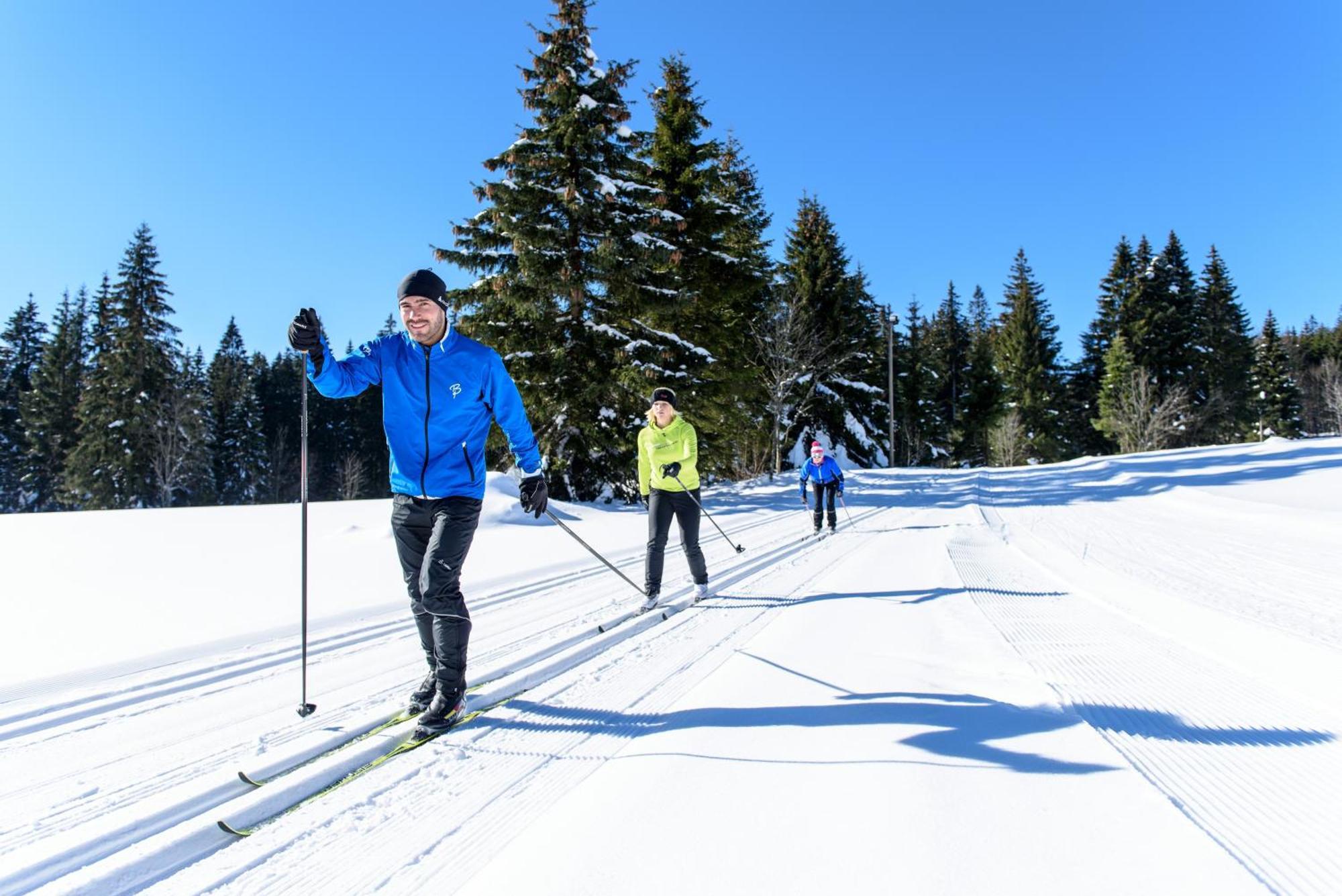 Hoehengasthaus Kolmenhof An Der Donauquelle Furtwangen Luaran gambar