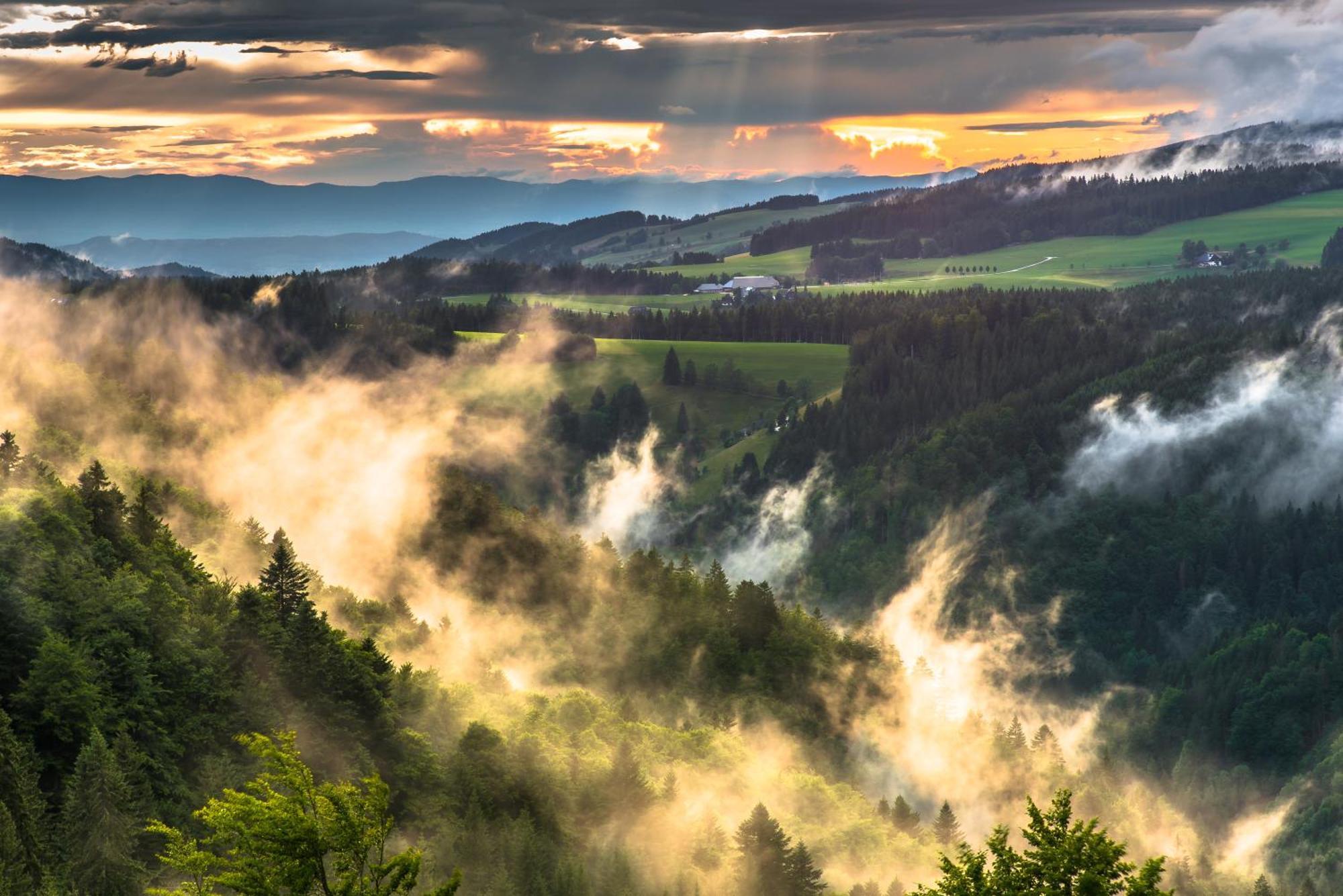 Hoehengasthaus Kolmenhof An Der Donauquelle Furtwangen Luaran gambar
