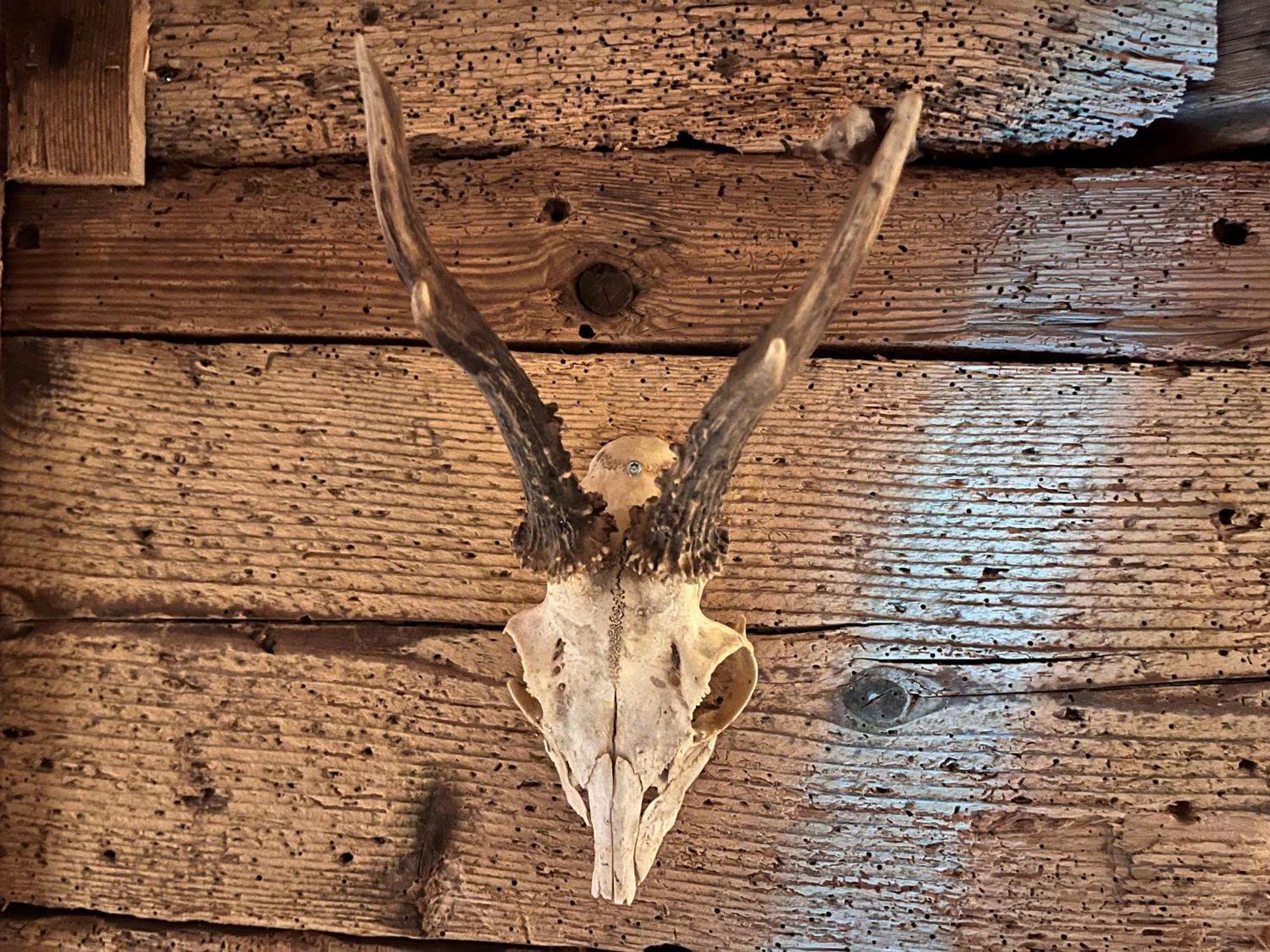 Hoehengasthaus Kolmenhof An Der Donauquelle Furtwangen Luaran gambar