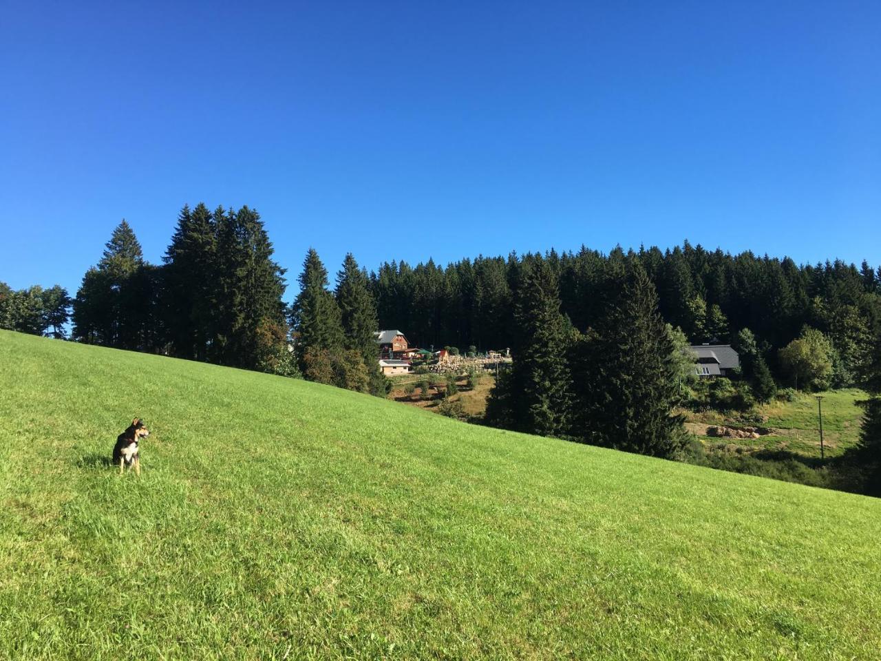 Hoehengasthaus Kolmenhof An Der Donauquelle Furtwangen Luaran gambar